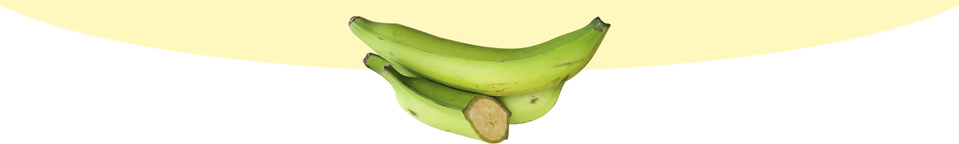 pleca plátano
